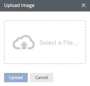 STM-EDC_Settings_labelcustomization_uploadimages.png